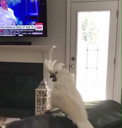 (Sound on) When you know you are mom’s favourite.