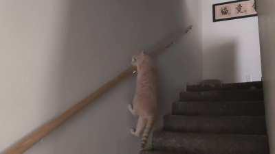 It was suggested that I post this here