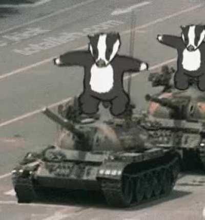 please don't upvote I'm just checking my based count