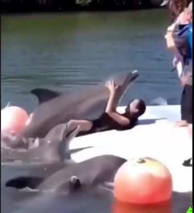 Wtf is that dolphin doing??😂😂😂