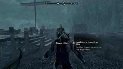 Holy shit the absolute balls on this Thalmor soldier, mad respect