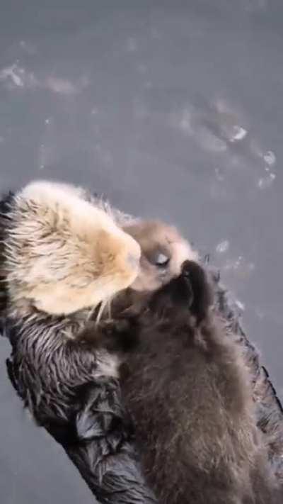 Mother with her baby 🥹🥹