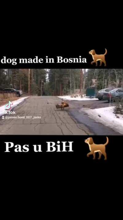 based bosnia 😂😂😂