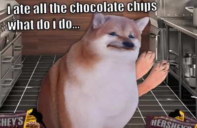 Le kitchen shenanigans have arrived