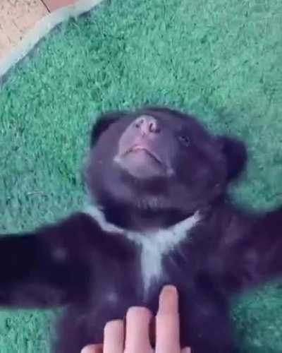 Yeah baby, do it again and again