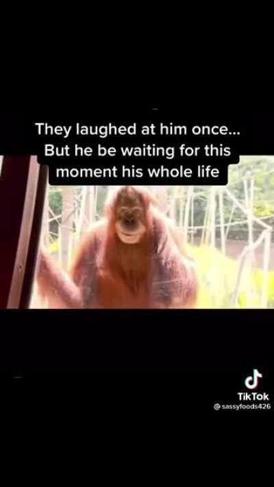 What is he planning?