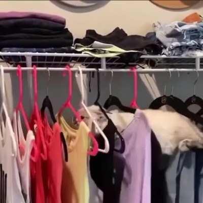 this obstacle course is rather difficult