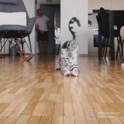 Got that feather, but at what cost