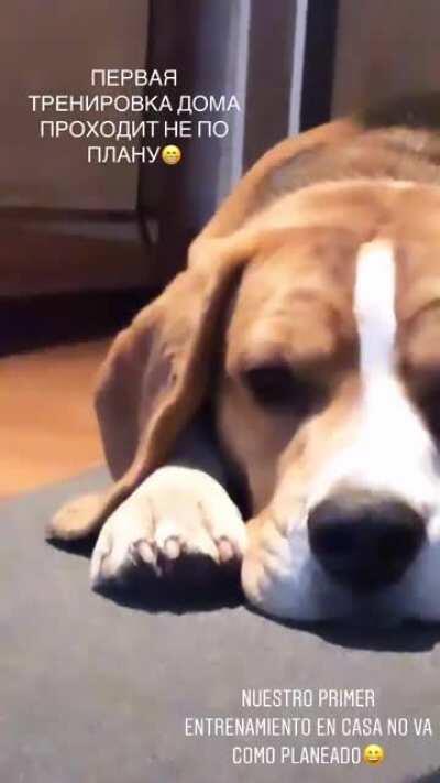 Un poco de ejercicio