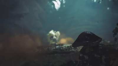 The first master rank boss is unveiled