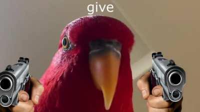 Where's is the sauce