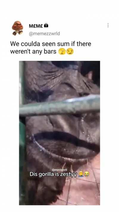 gorilla got rizz 🥵