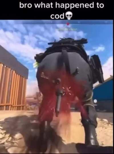 Modern Warfare 2 is crazy bruh 💀 (not mine