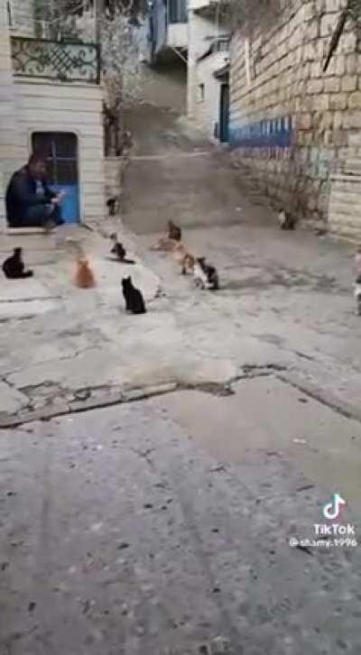 Imam preaching to go vegetarian during Ramadan