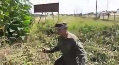 Cadê o chat que faz 18 esse ano?