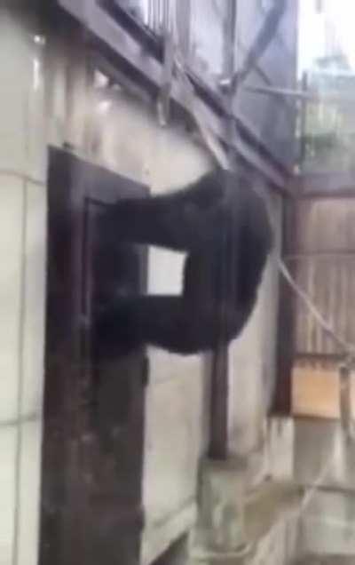 my reaction when the ghost goes into hunting and locks me inside with it