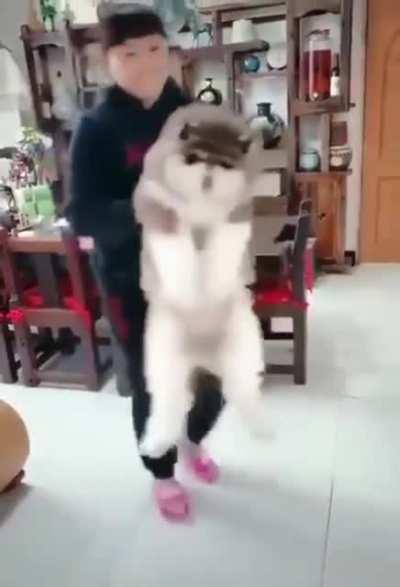 Road To The Ultimate Floof