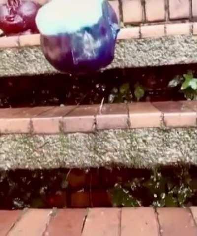 Boing...Boing...BOING