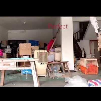 Lthey having a good time or is it