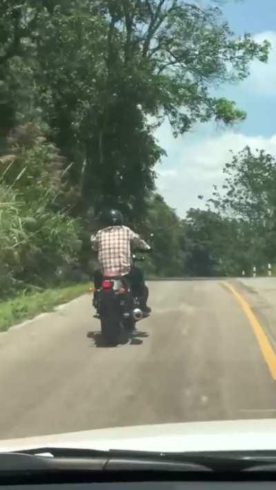 Roses are red, my name isn’t Michael, here’s a snake attacking guy on a motorcycle