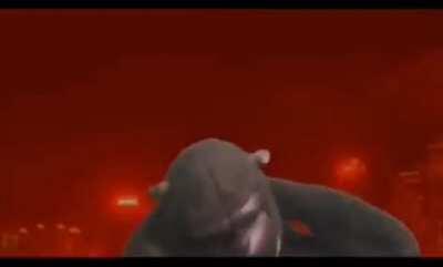 The movie looks great