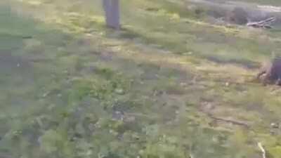 This dude is out cold