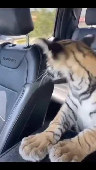 Narco culture video .. narco jrs by the look of it