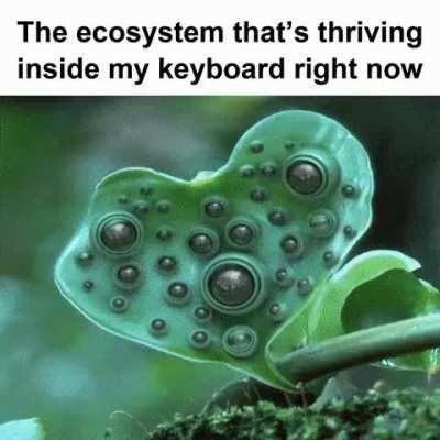 Hentai Live Action...