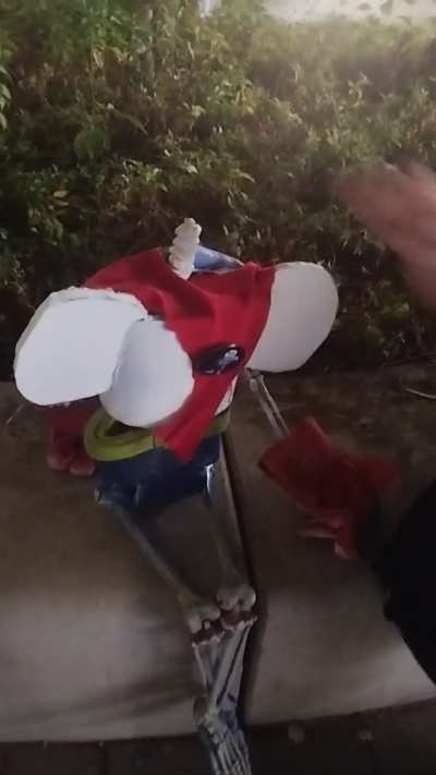 Why would Chara make him do that?