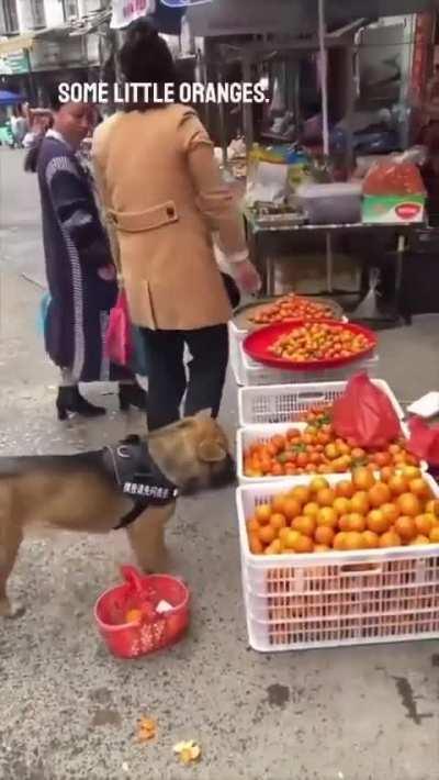 He is Genious 😍😍