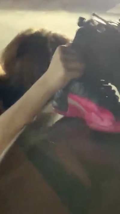 Dicked down bent over a car for everyone to see