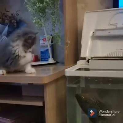 Come at me you pussy!