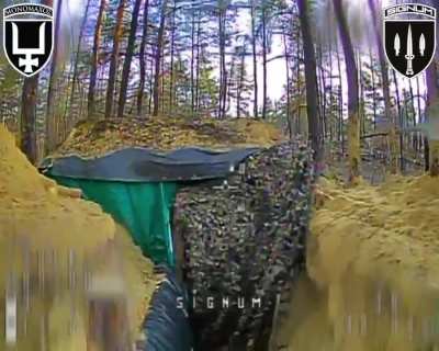 Ukrainian fiber-optic FPV drones of the SIGNUM Battalion hit Russian dugouts and infantry positions in the Lyman direction. 19.10.2025