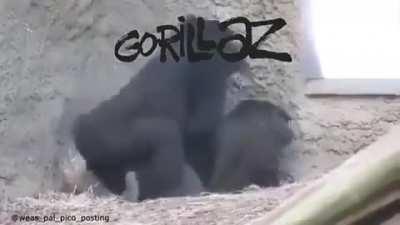 Buena data campeón...