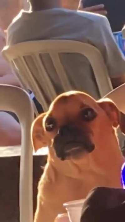 MRW I’m 7 years old and my parents spend three hours at the brewery.