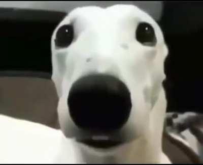 ¿Que paso con el grupo de discord?