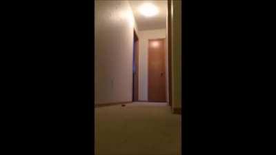 Upvote to see Jeannie's reaction.