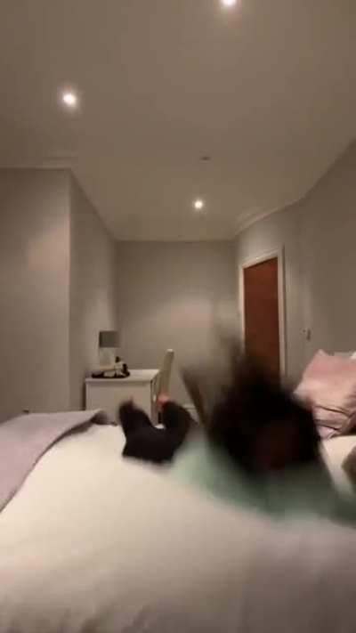 Bed Dive with Ass Jiggle