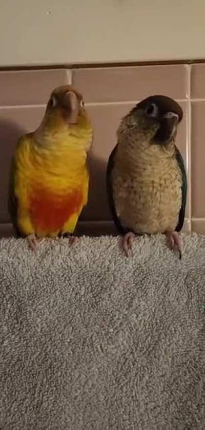 The scoot over 😭❤ must be physically touching at all times