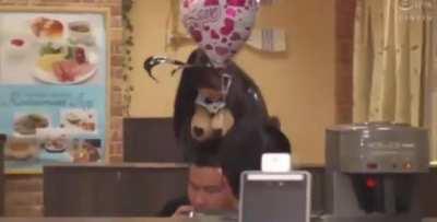 Chose the wrong profession