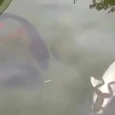 🔥 Hey, can I get a ride?