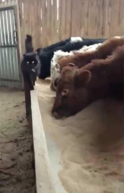 Establishing yo' self.