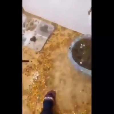 This will make you cry 😢 (Heil spez)