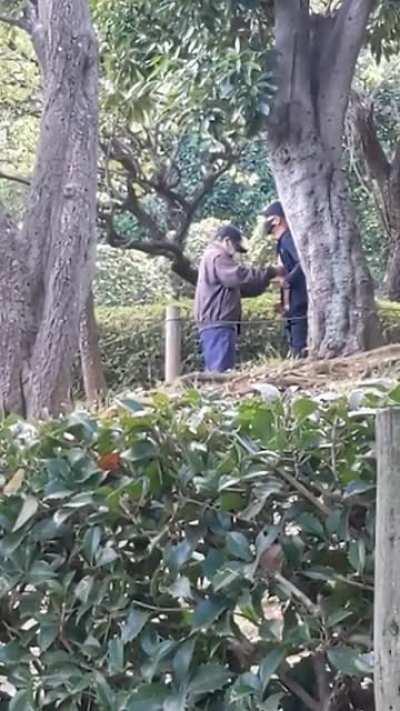 (NSFW) Just saw a old man at the park having a japanjerk of his own while another old man tuned in Tokyo on his nipples. What a beautiful culture