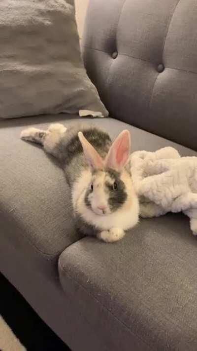 “You can sit on the floor there. This is my spot”