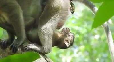 Yo but are you seeing this shit?