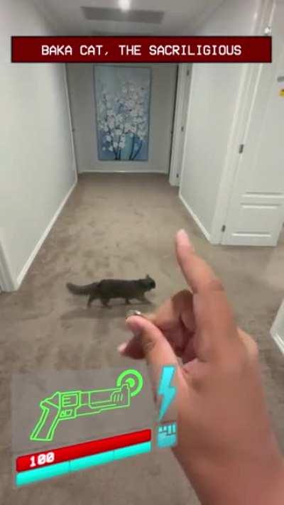 Practicing coinpunch irl against my cata, I guess