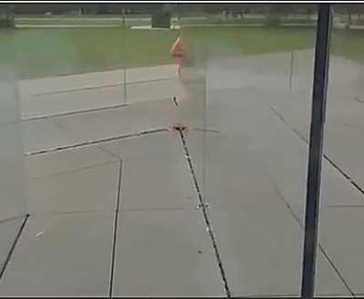 Is The Glass Labrynth Known For Its Donks?