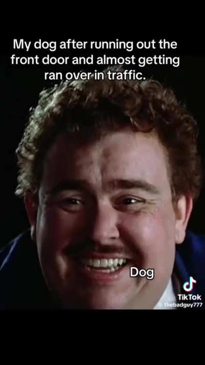 That dog sleeps with 2 pillows