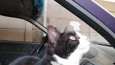 Anyone care to translate